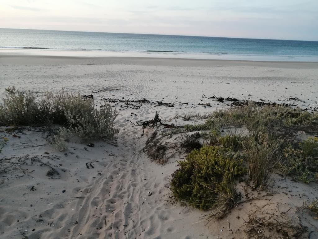 Image 10