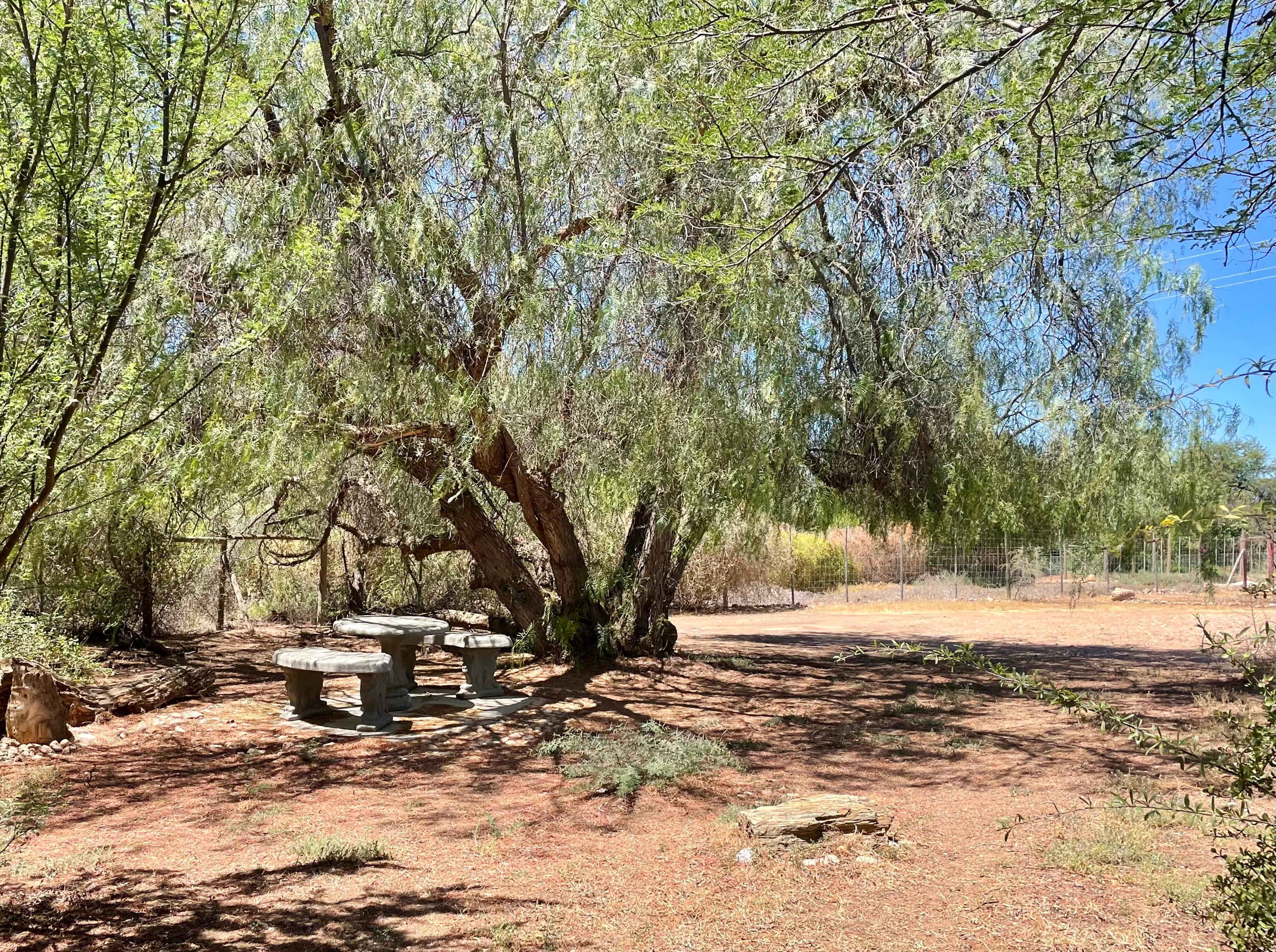 Image 20