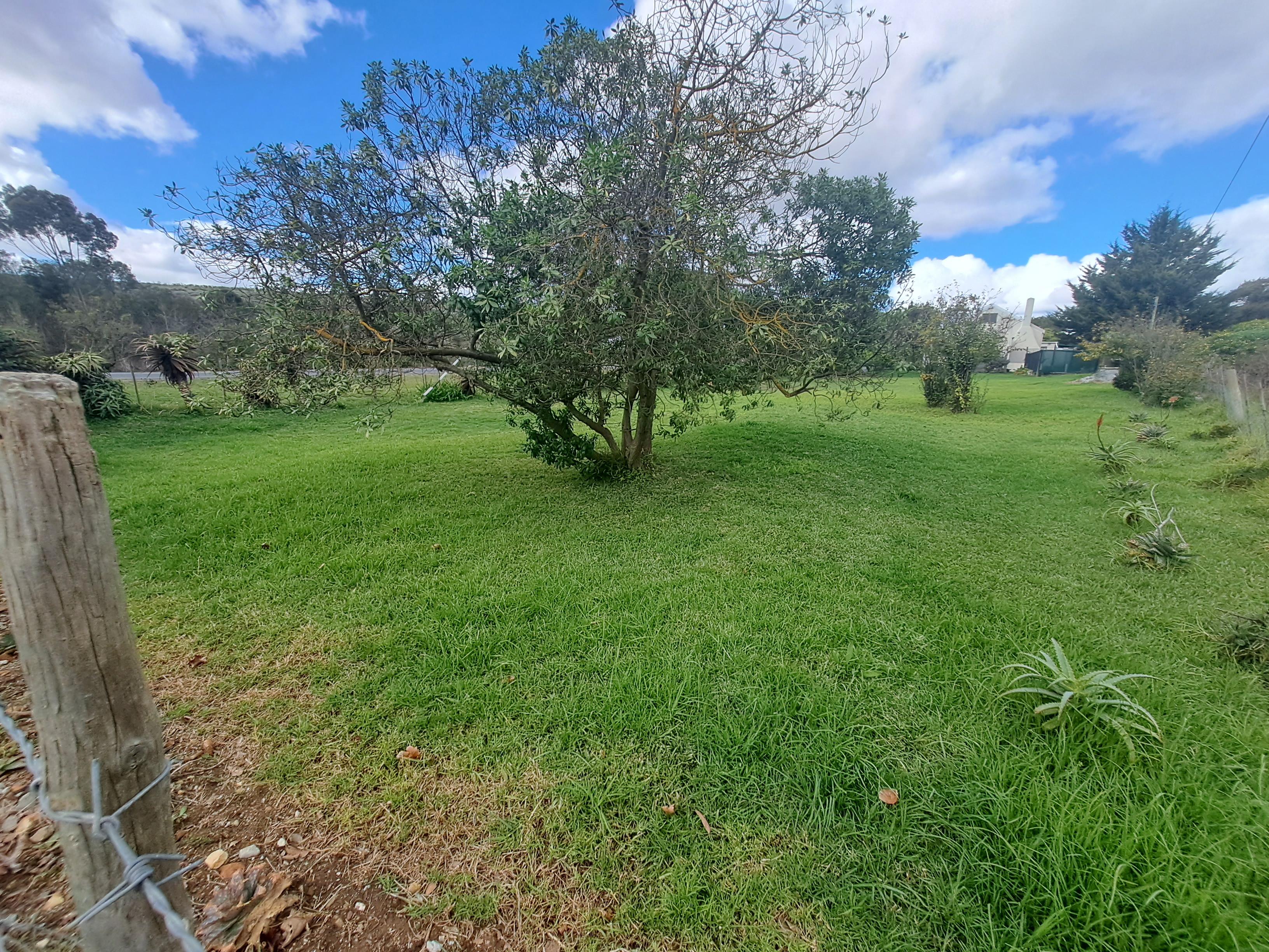 Image 4 of 6