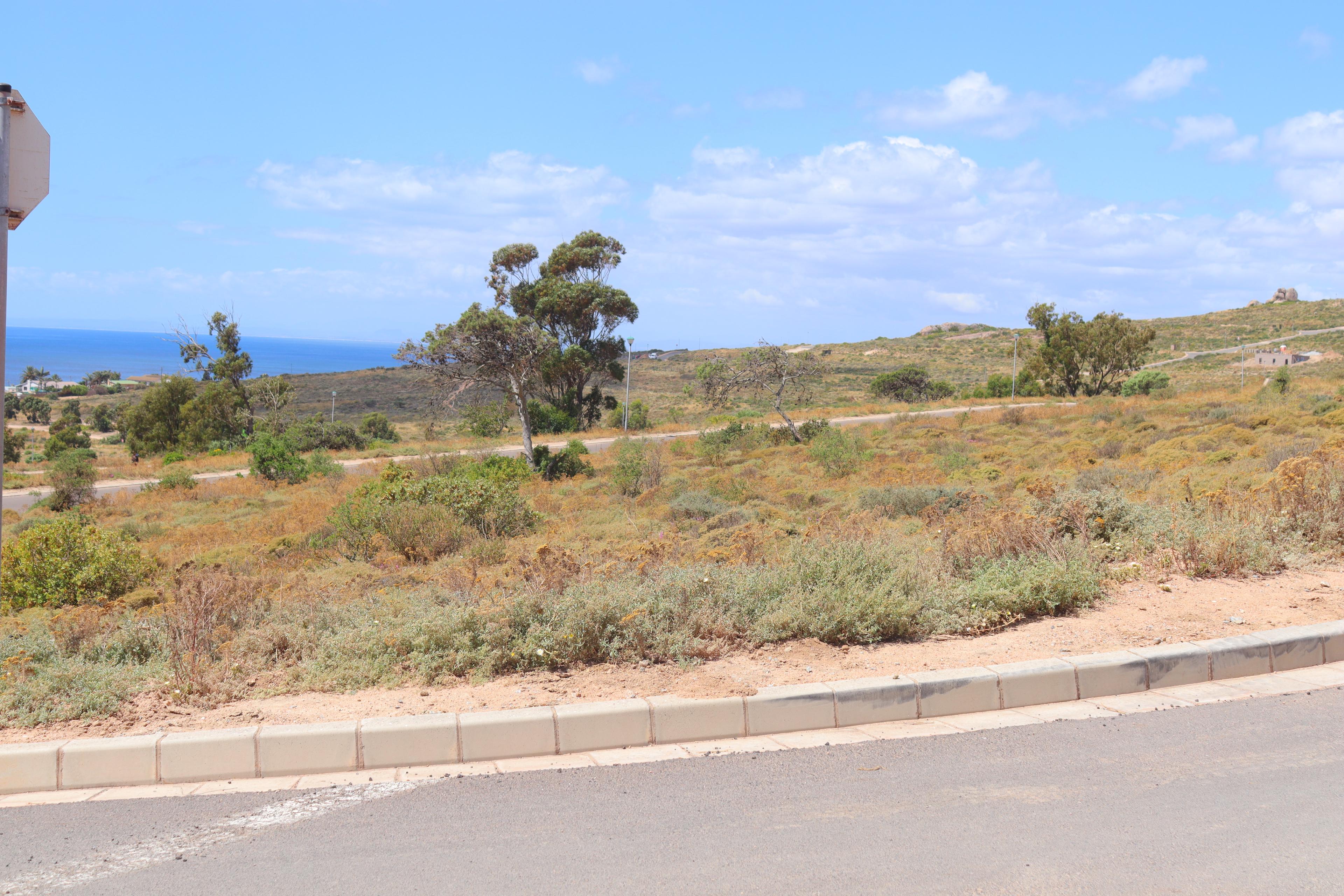 Image 5 of 6