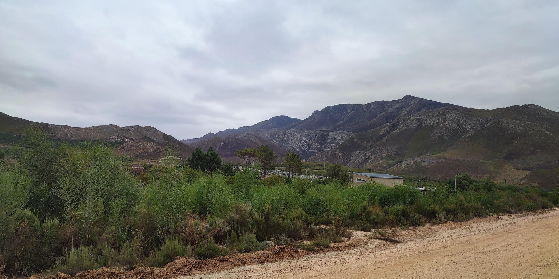 Image 4 of 6