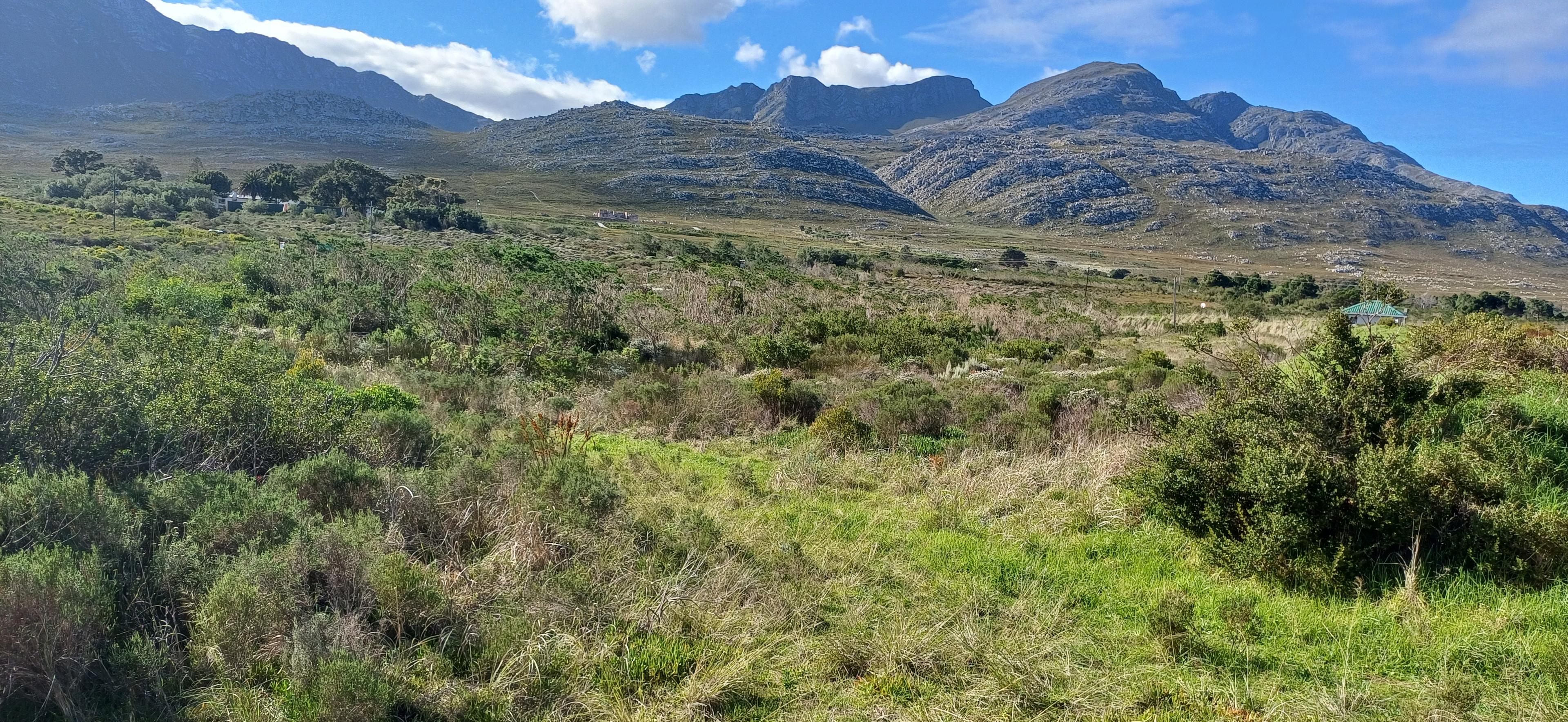 Image 2 of 6
