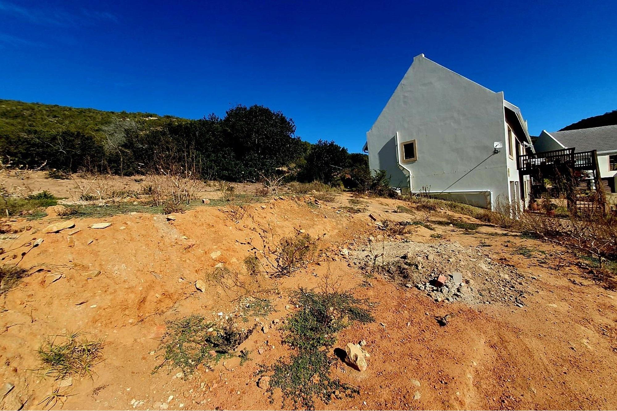 Image 13