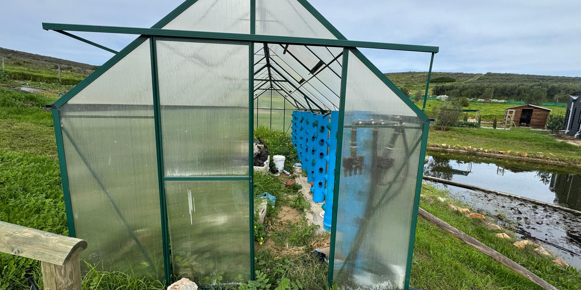 Image 5 of 6