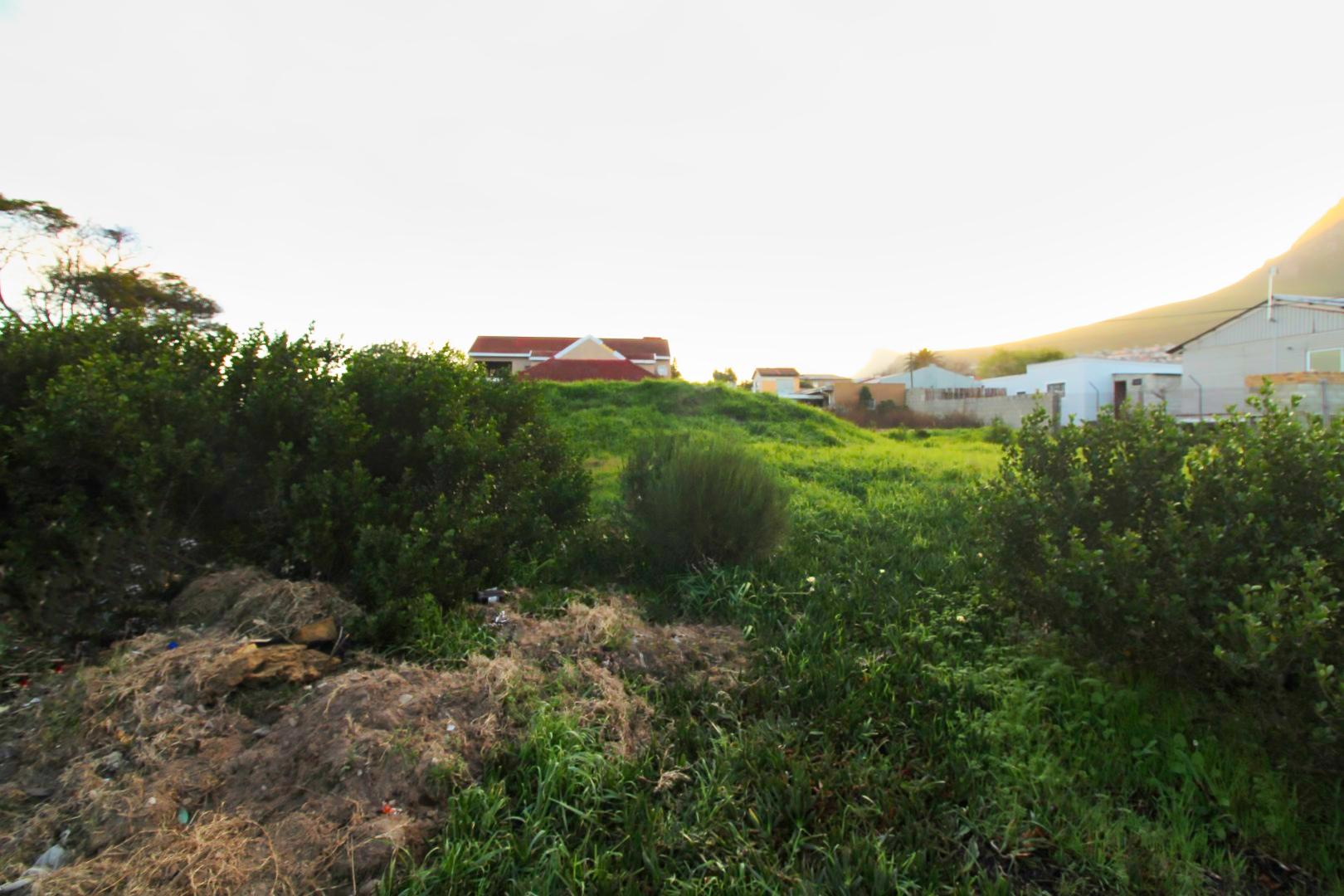 Image 10