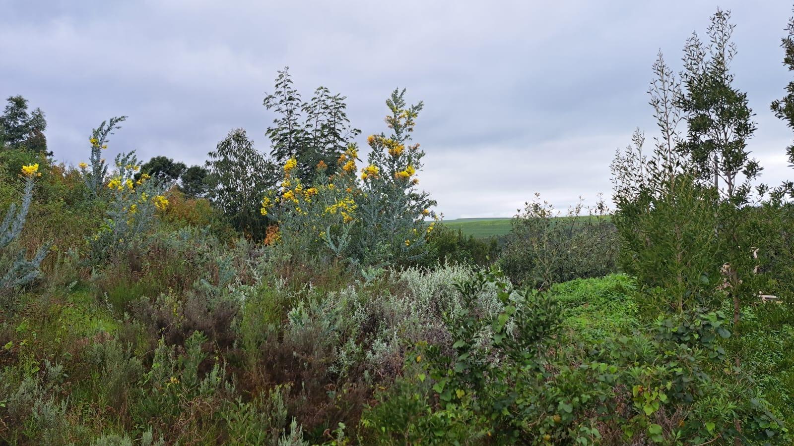 Image 14