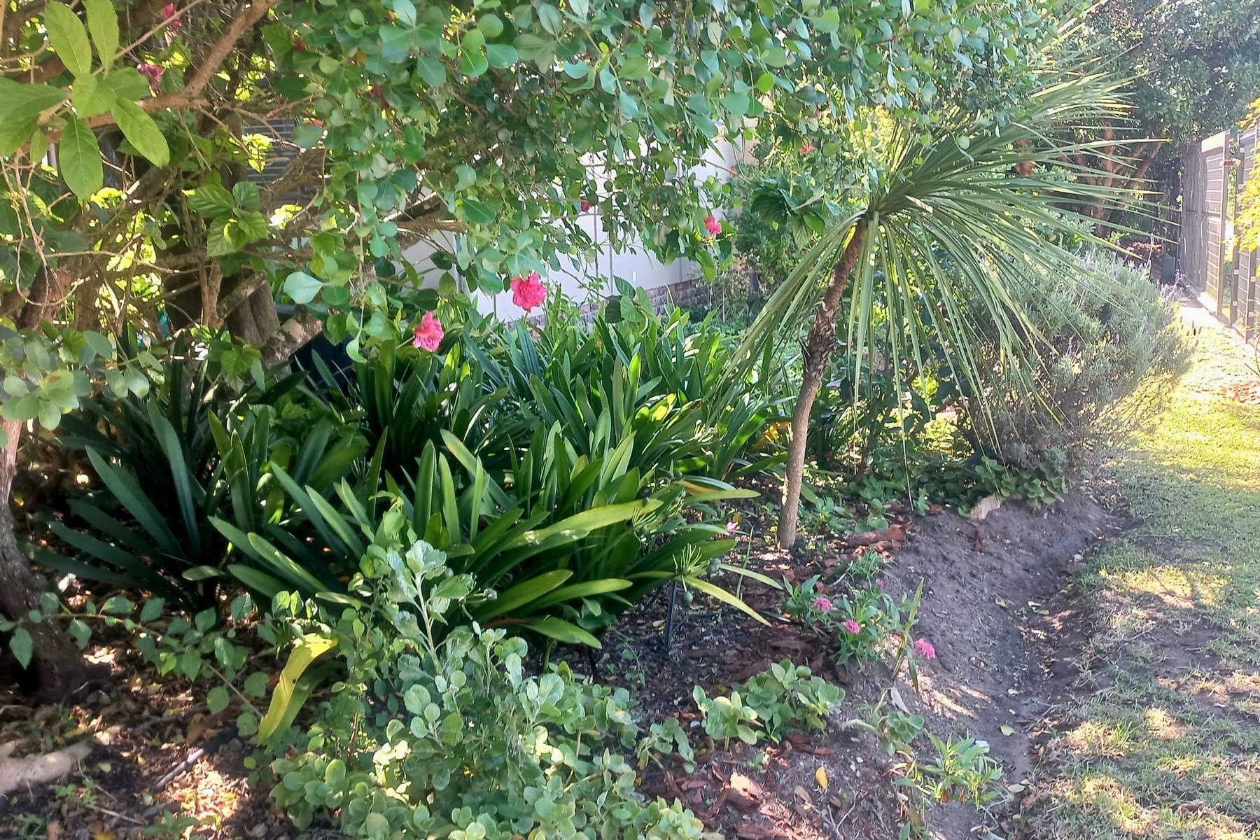 Image 30