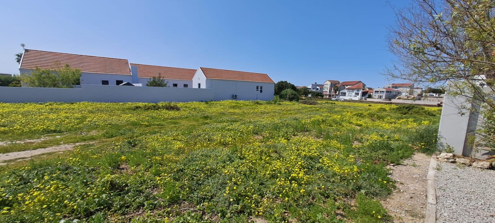 Image 12
