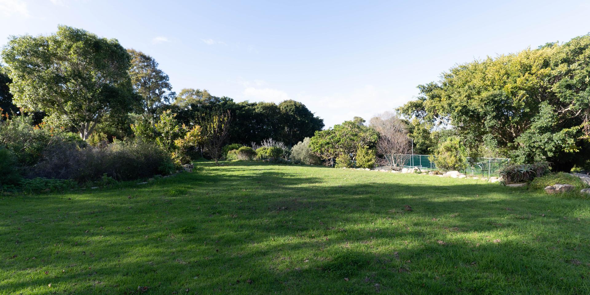 Image 4 of 6