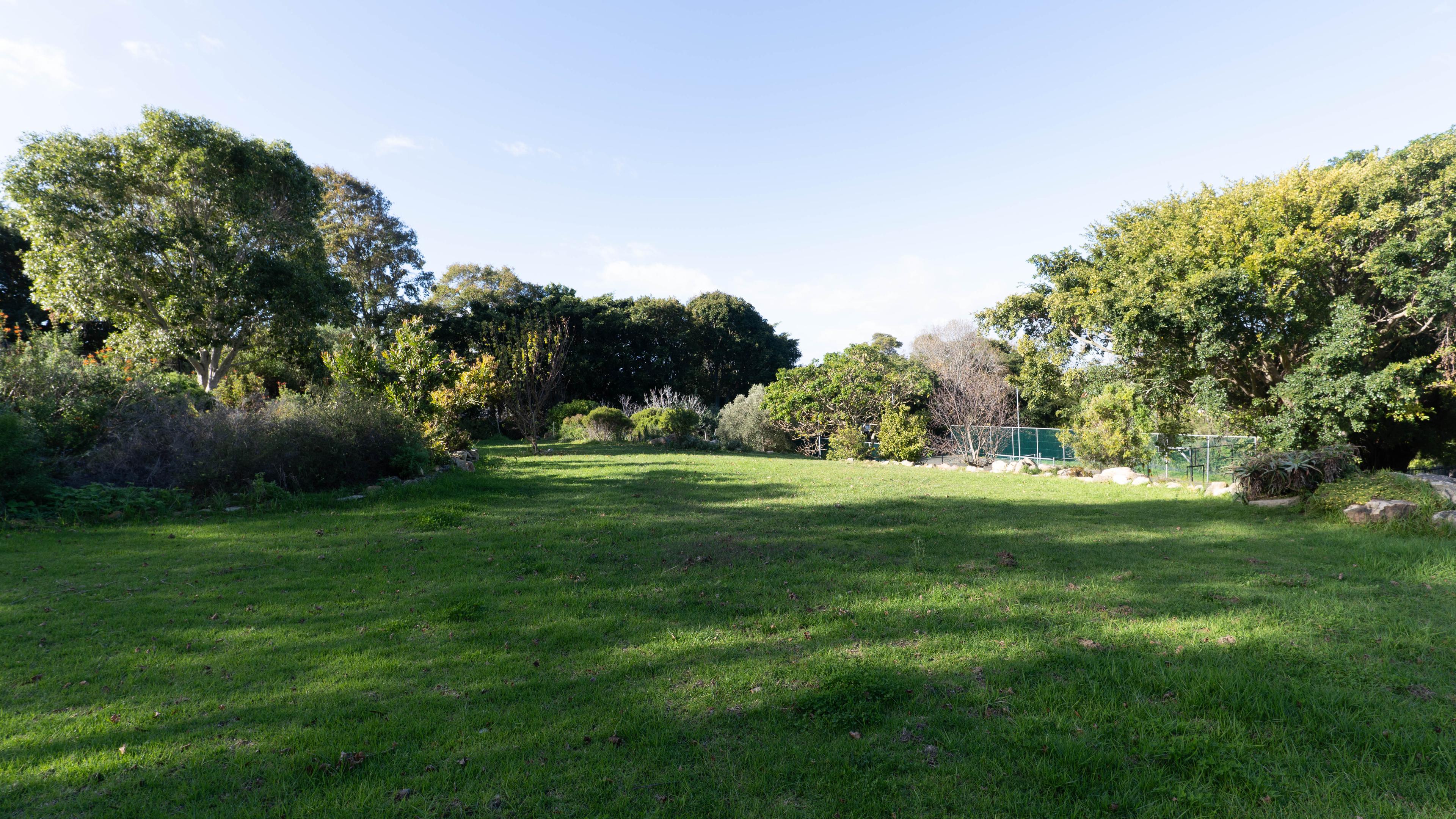 Image 4 of 6