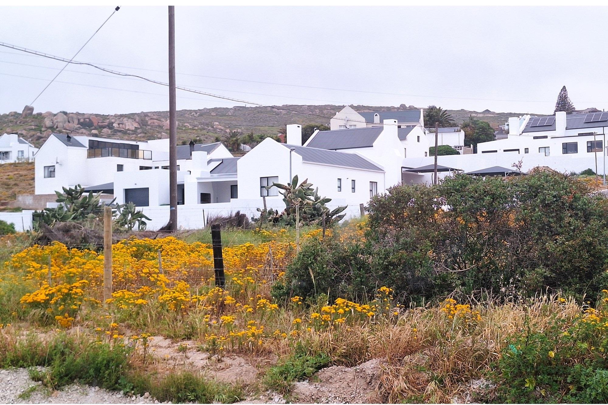 Image 14
