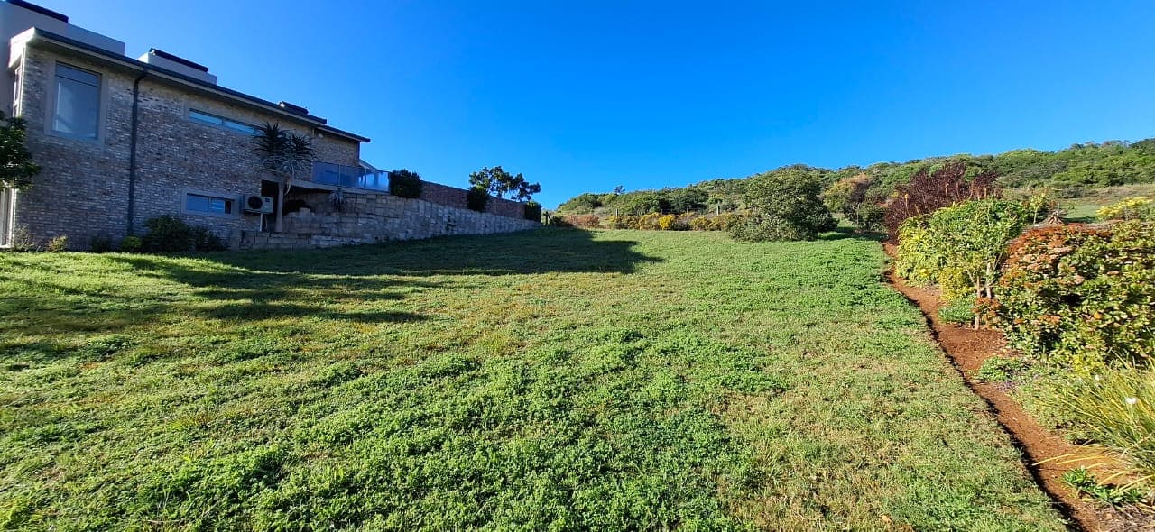 Image 2 of 6