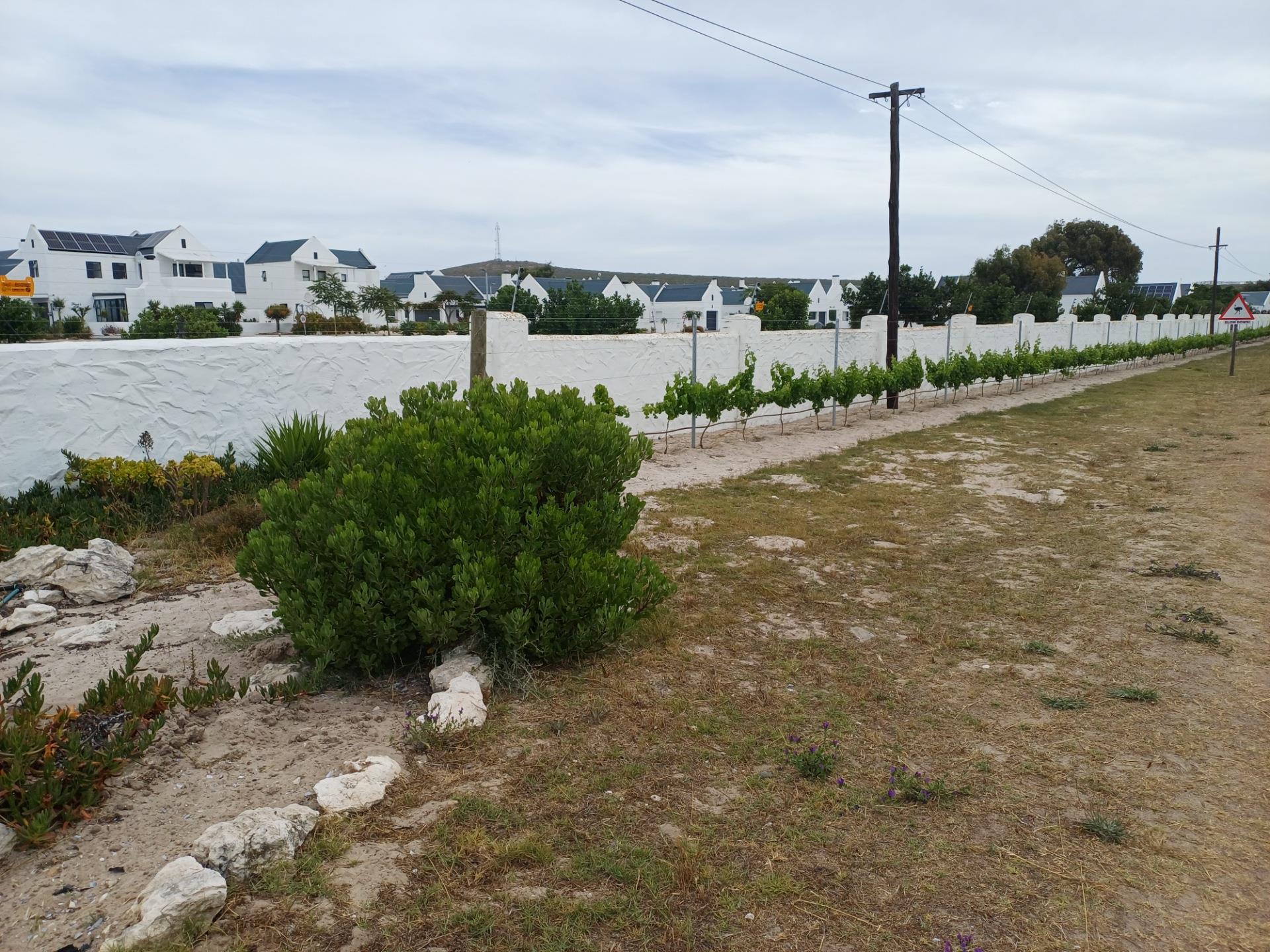 Image 15
