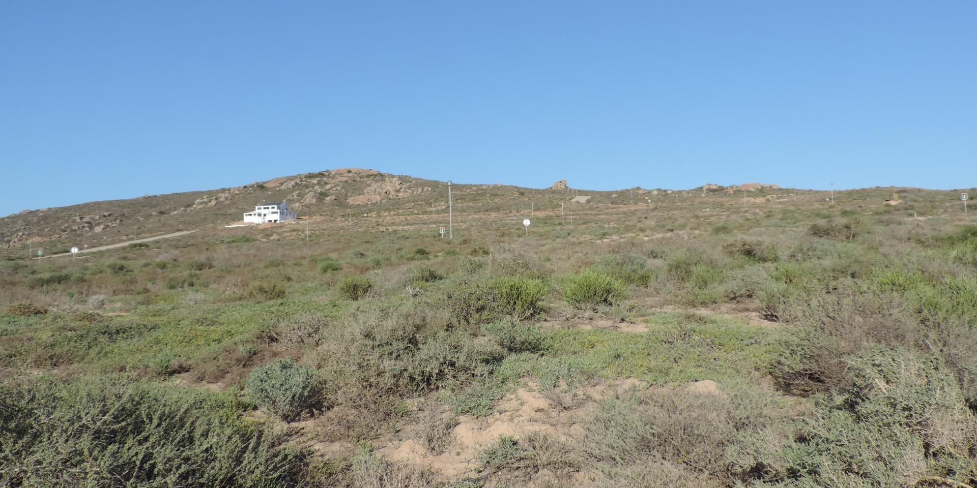 Image 3 of 6