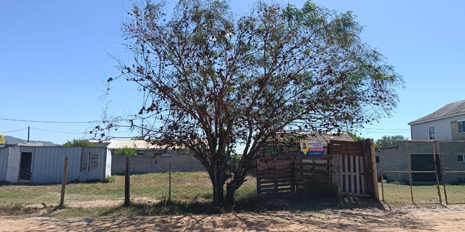 Image 4 of 6