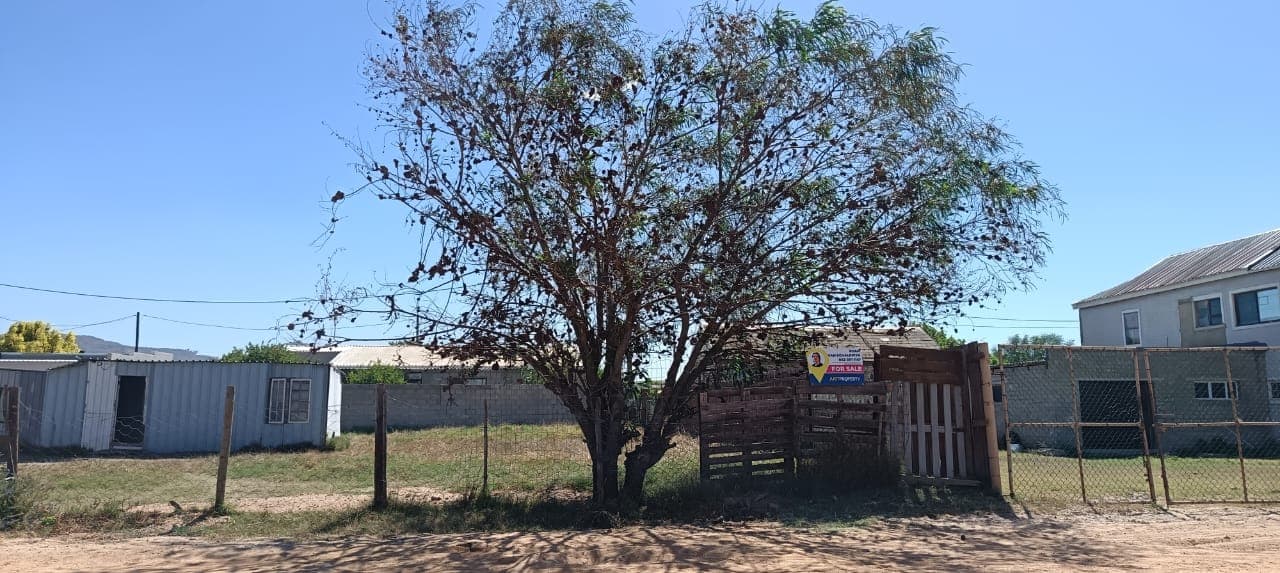 Image 4 of 6