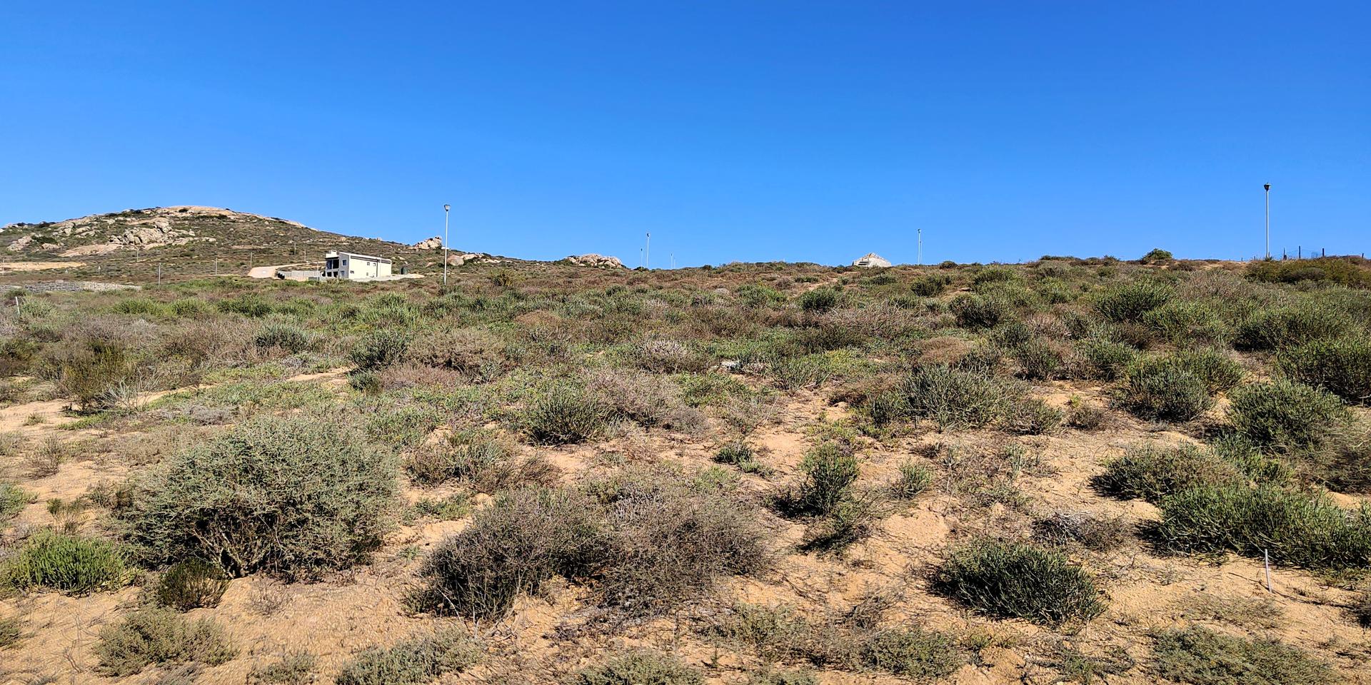 Image 2 of 6