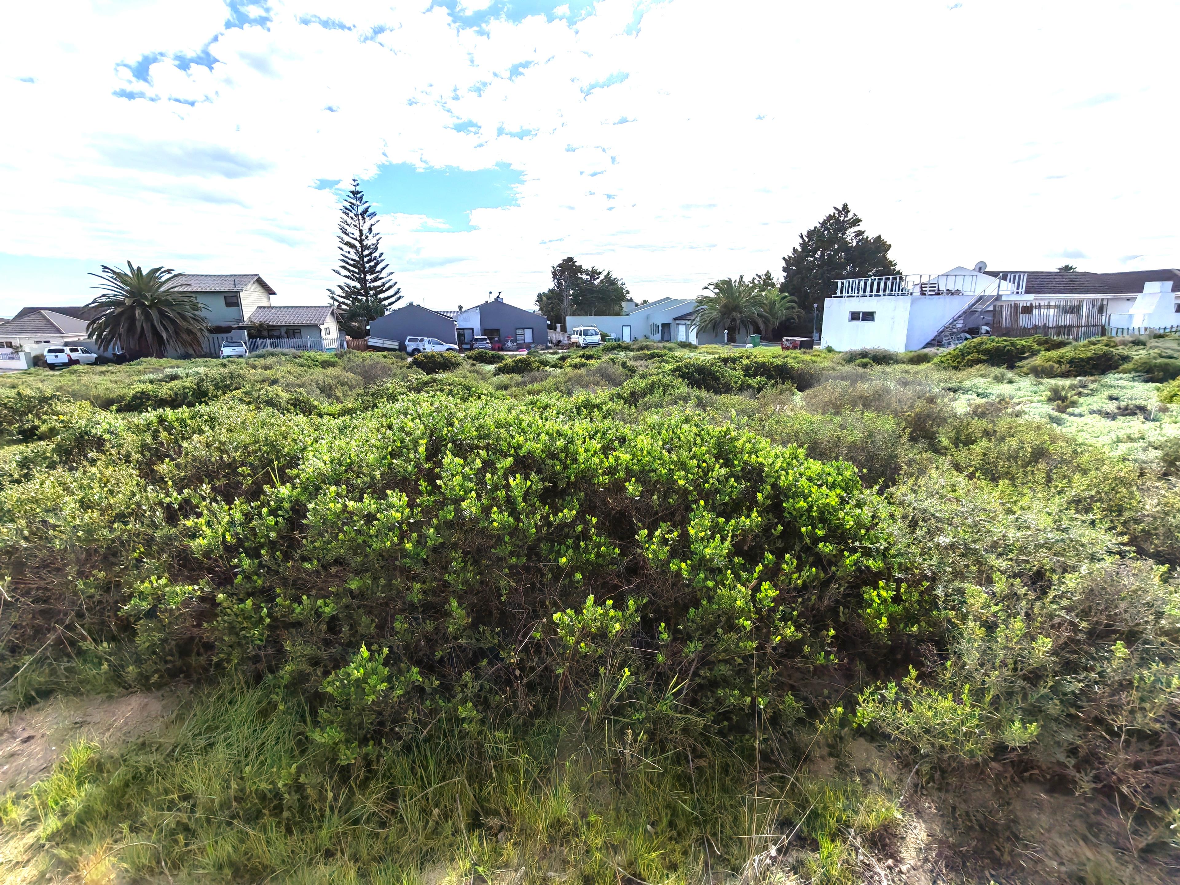 Image 4 of 6