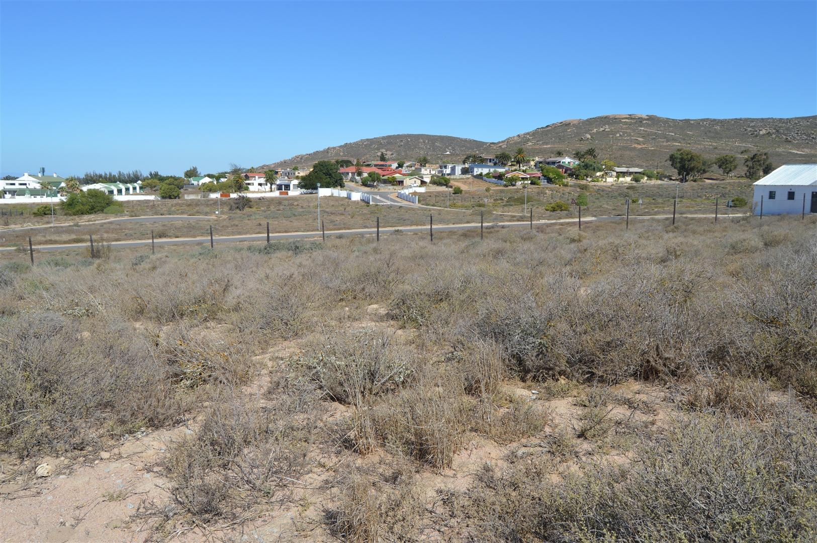 Image 12