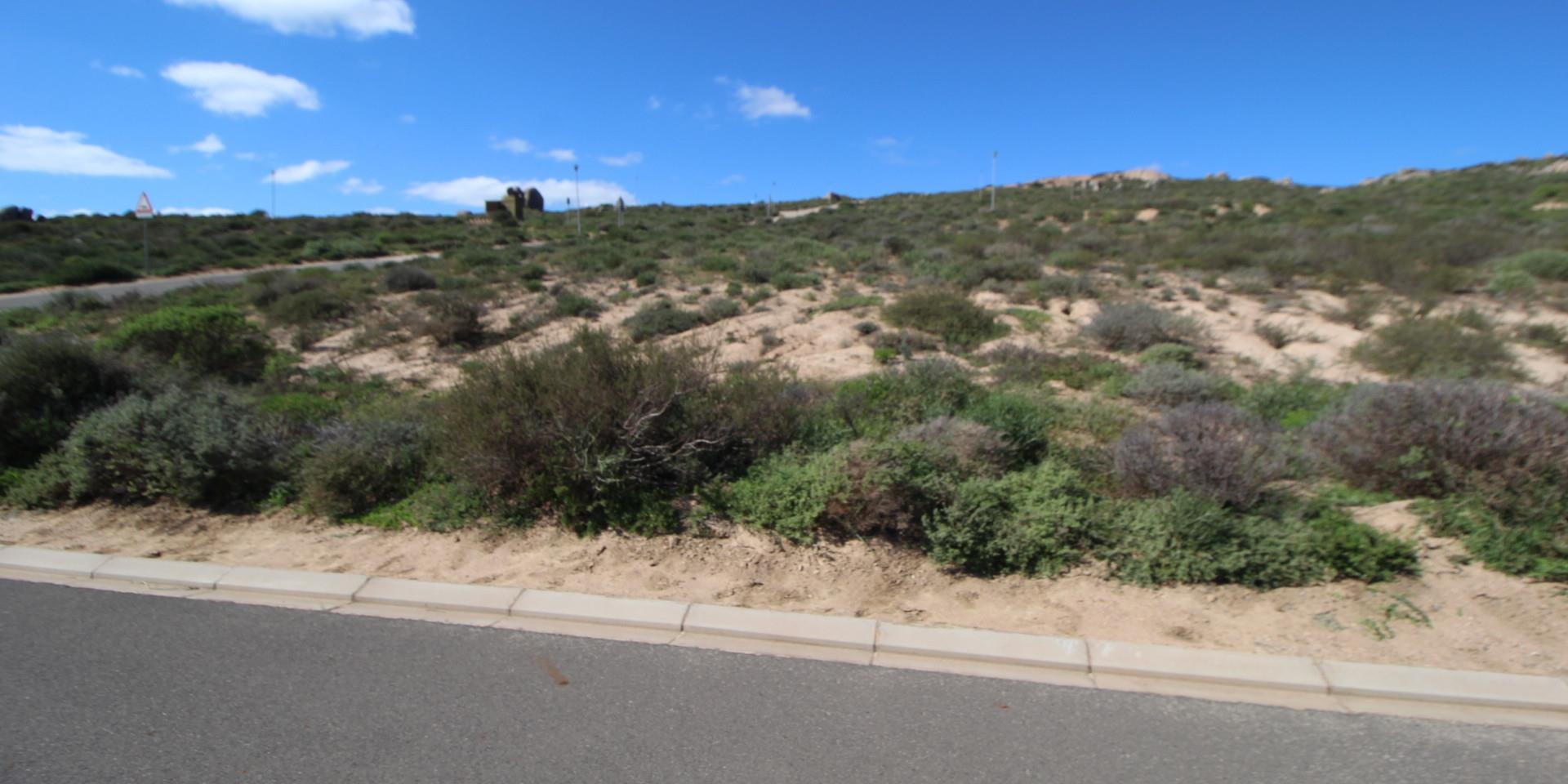Image 3 of 6