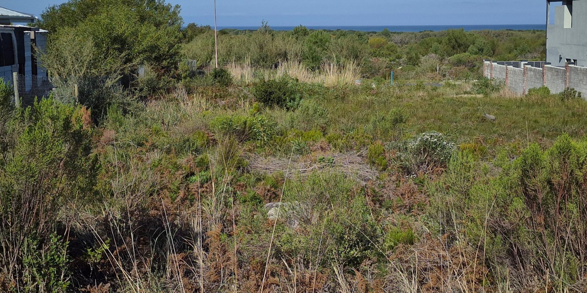 Image 4 of 6