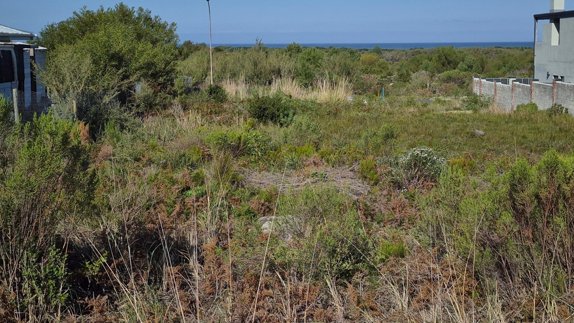 Image 4 of 6