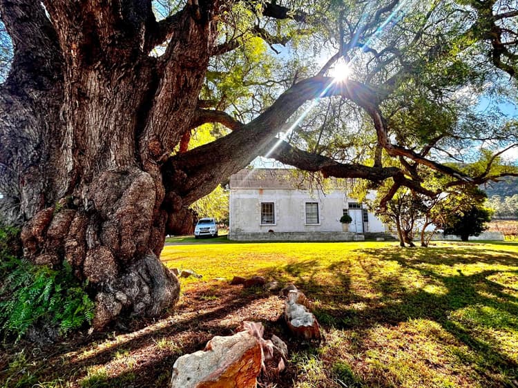 Main property image