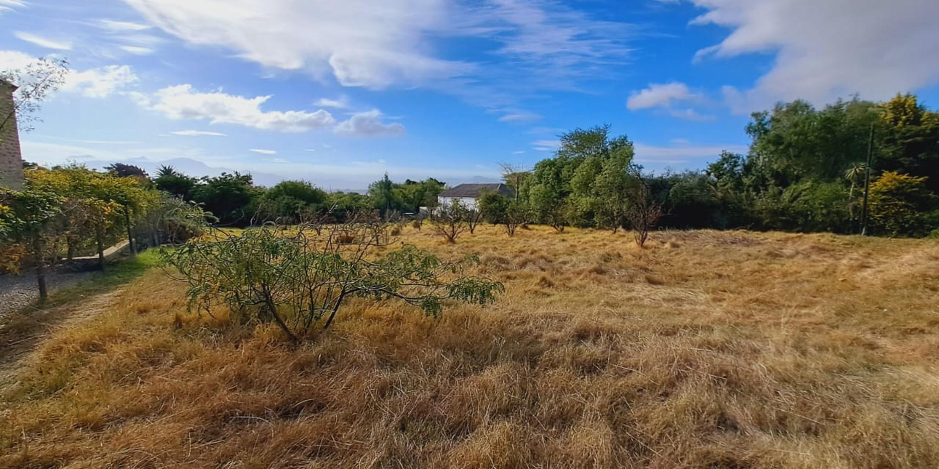 Image 4 of 6