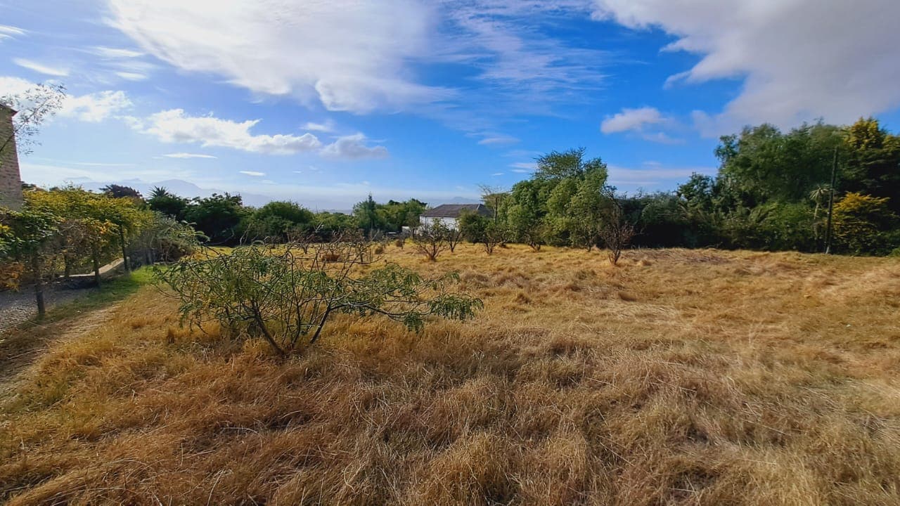 Image 4 of 6