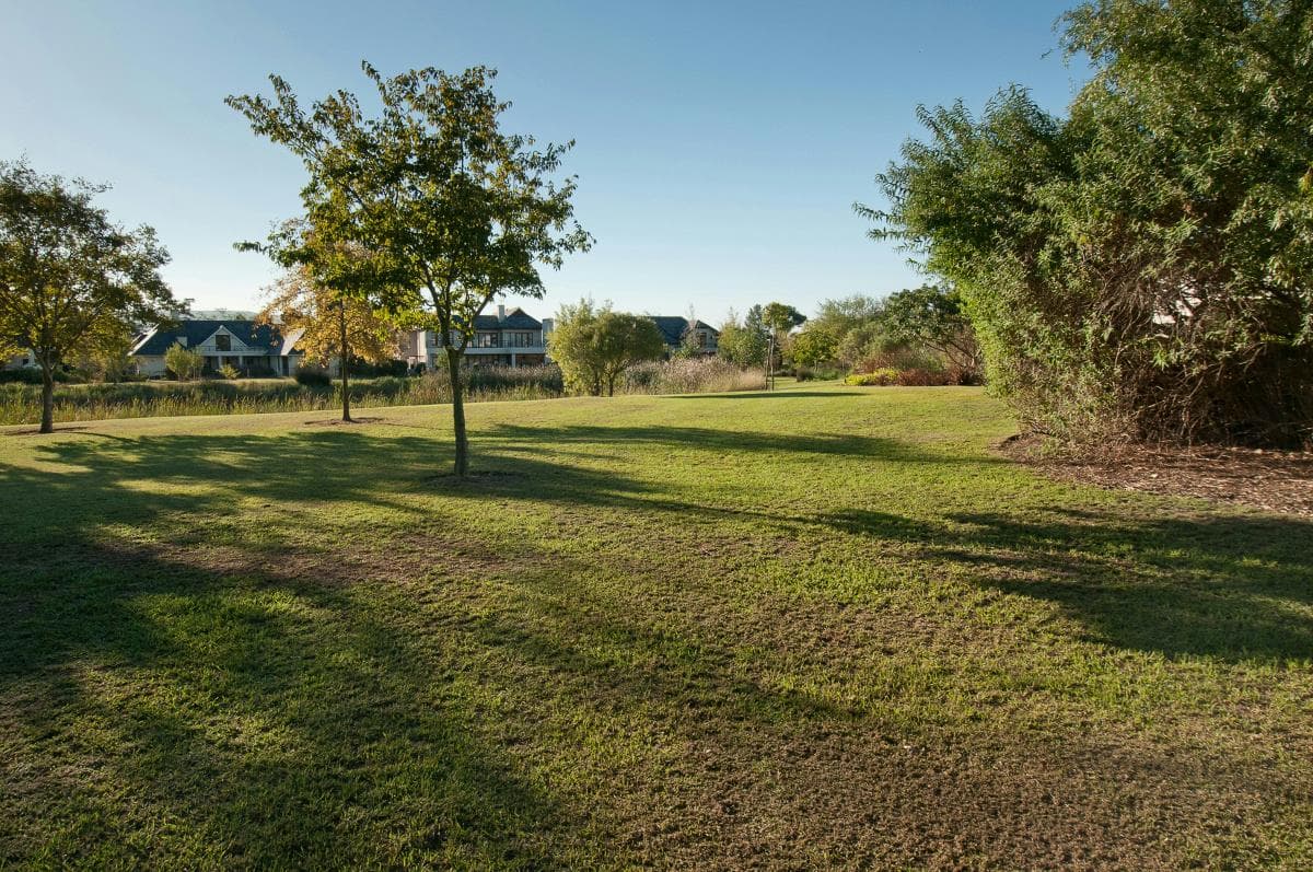 Image 4 of 6