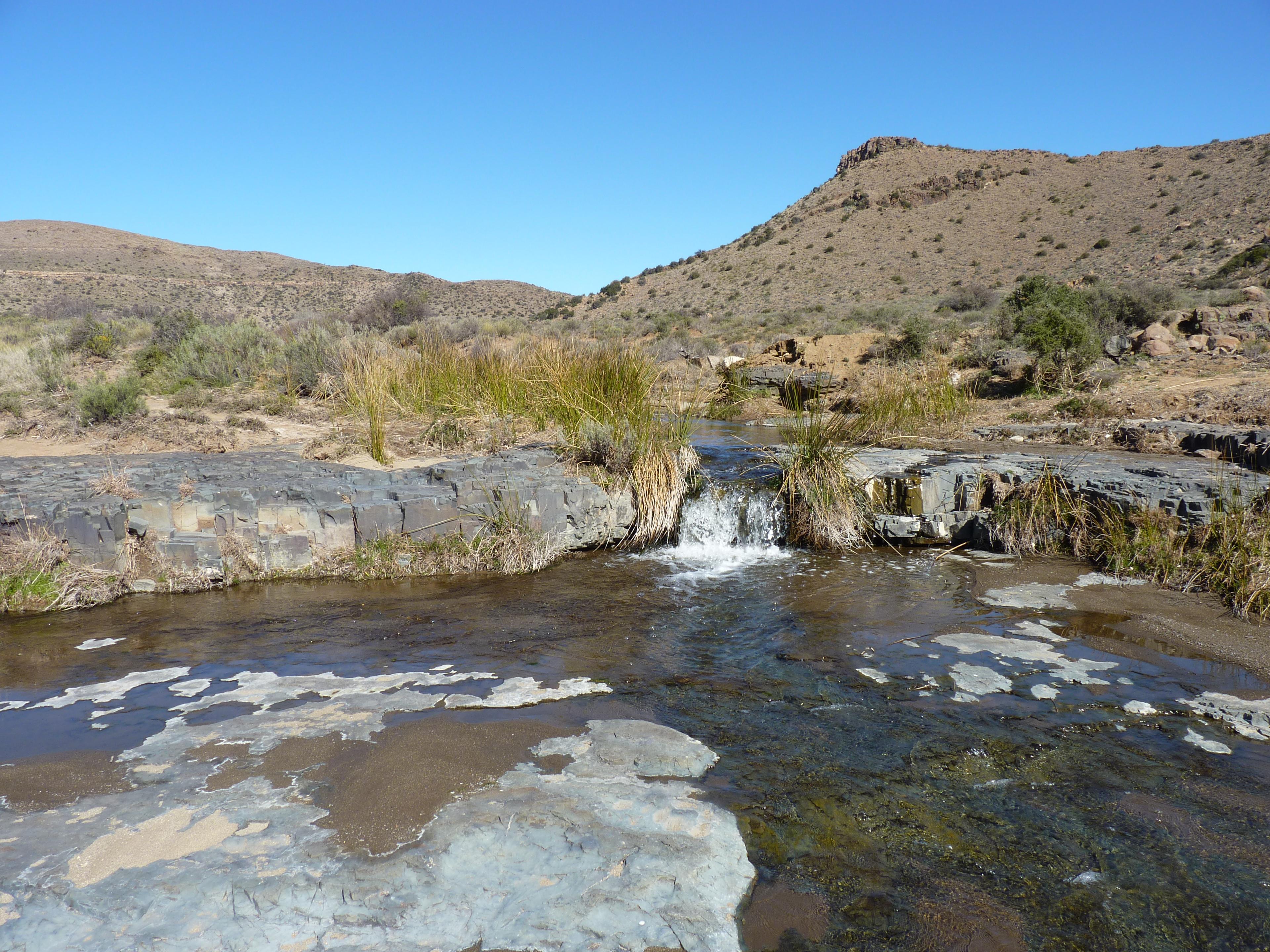 Image 10
