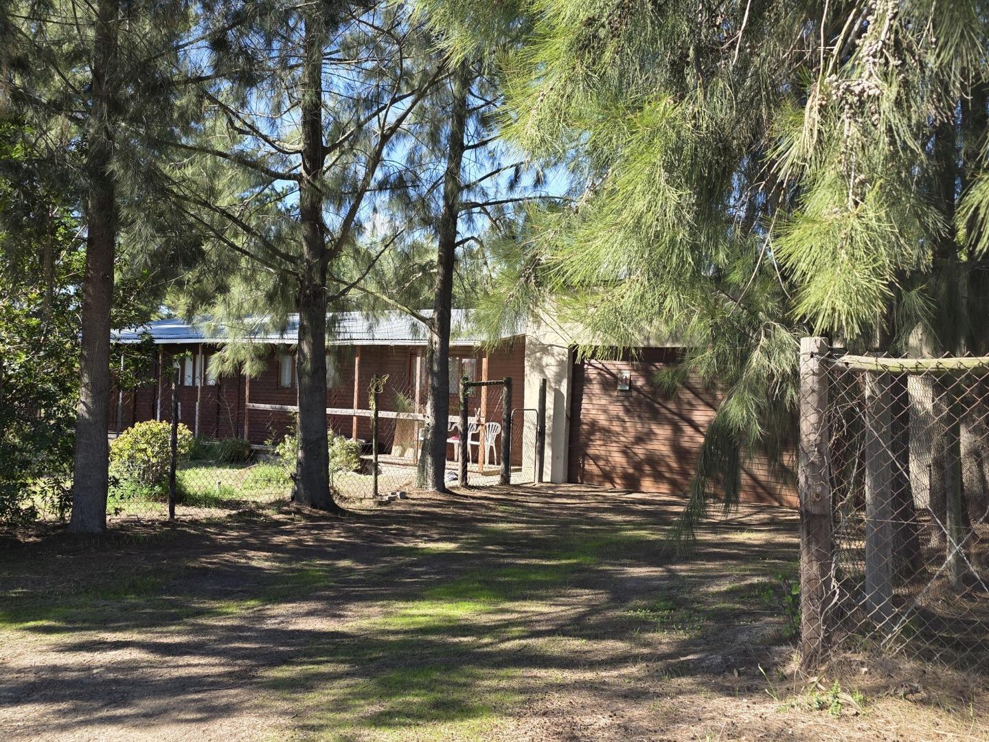 Image 5 of 6