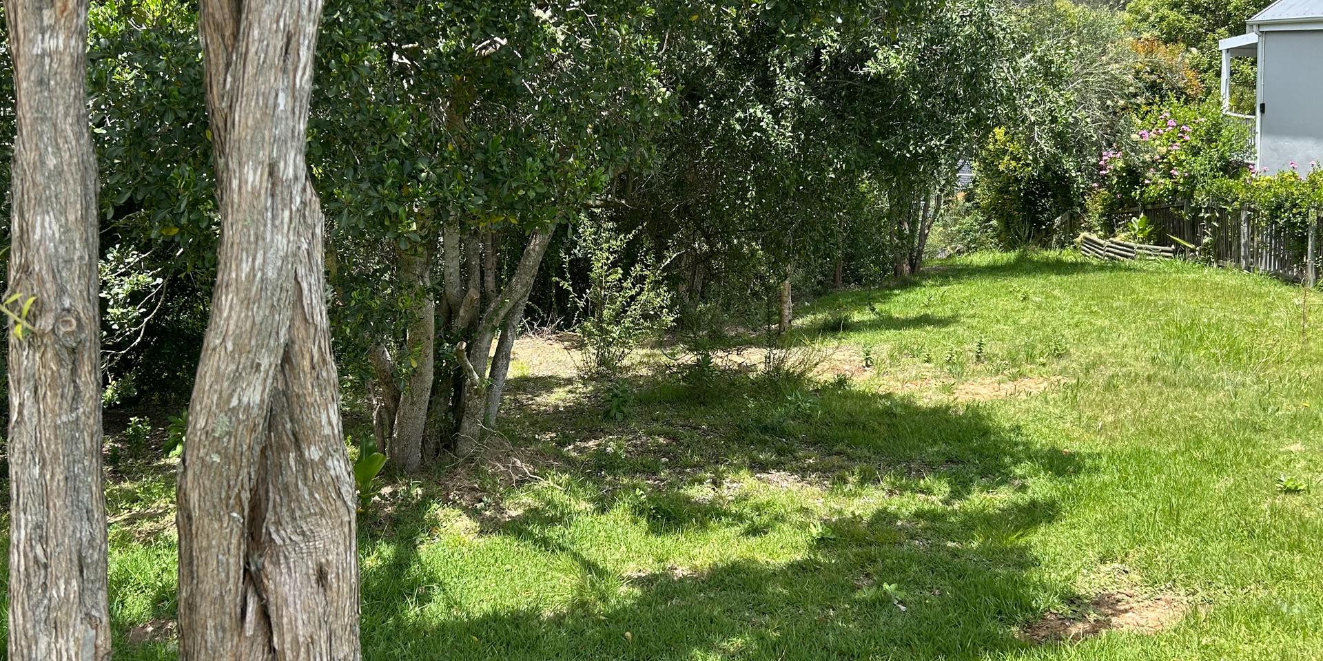 Image 5 of 6