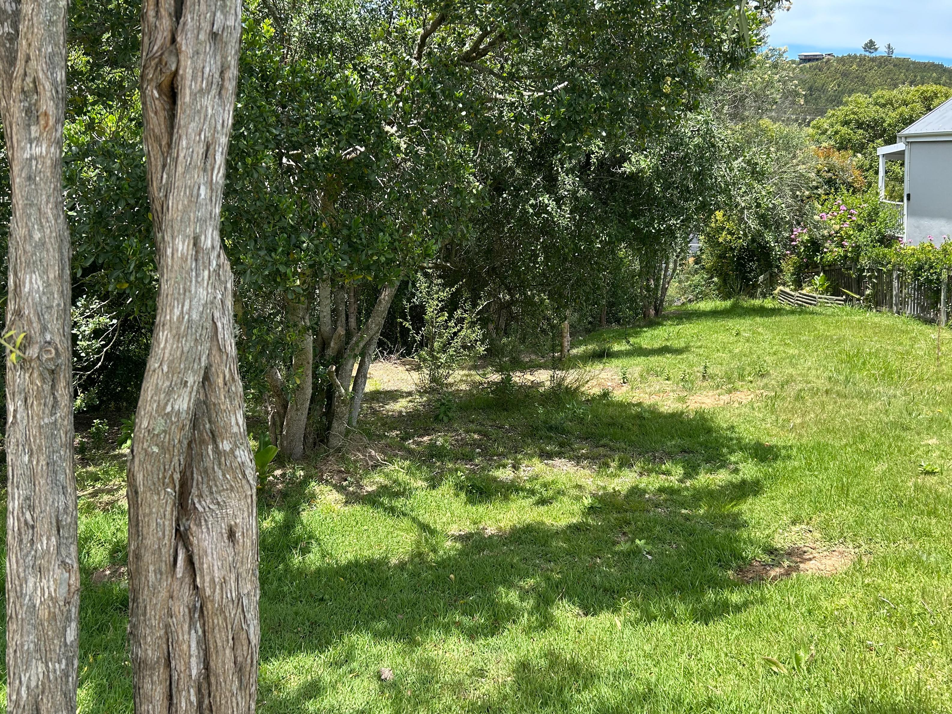 Image 5 of 6