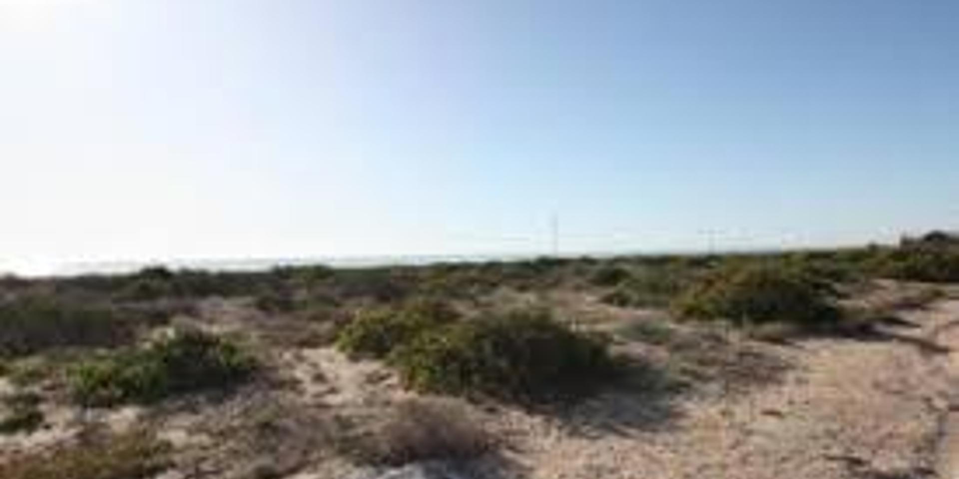 Image 5 of 6
