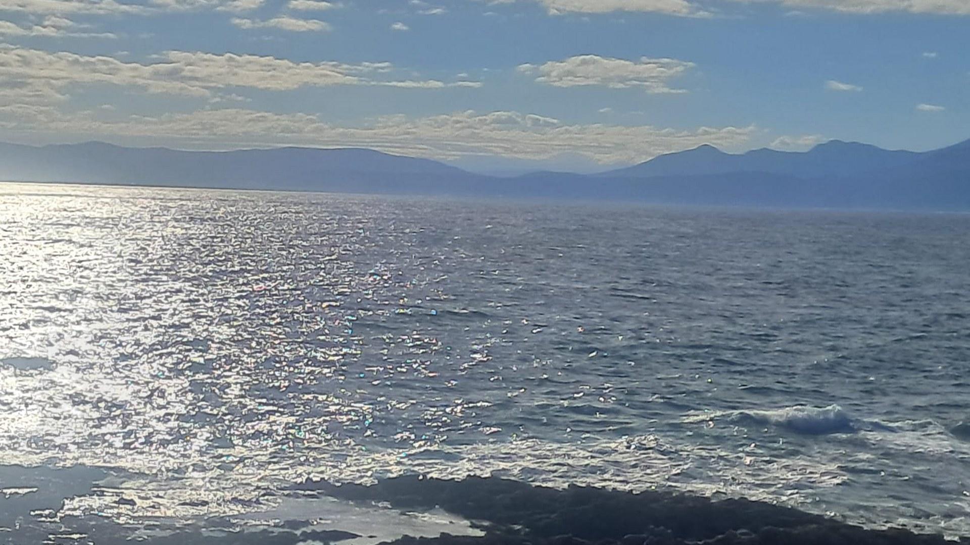 Image 15