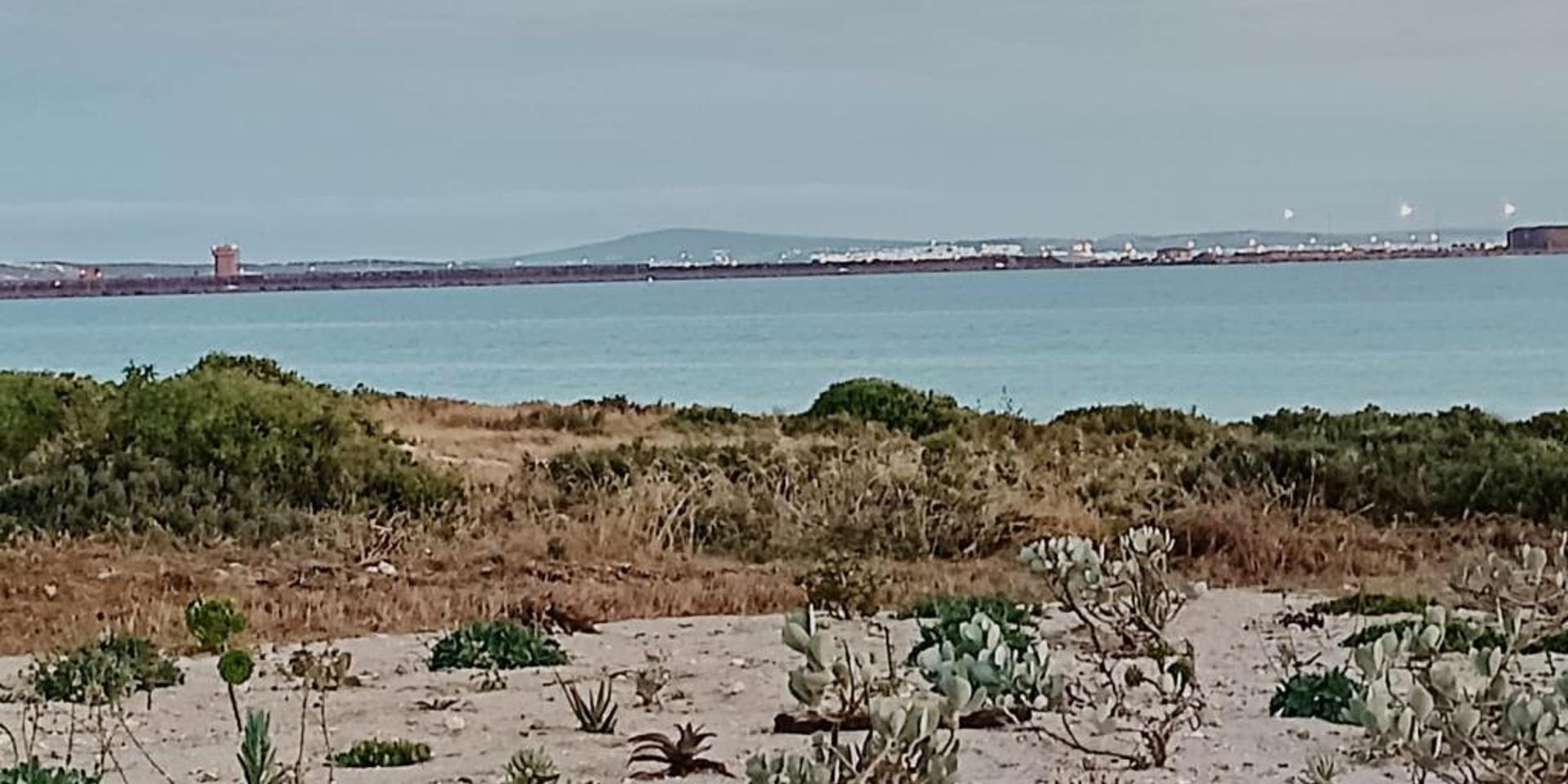 Image 4 of 6
