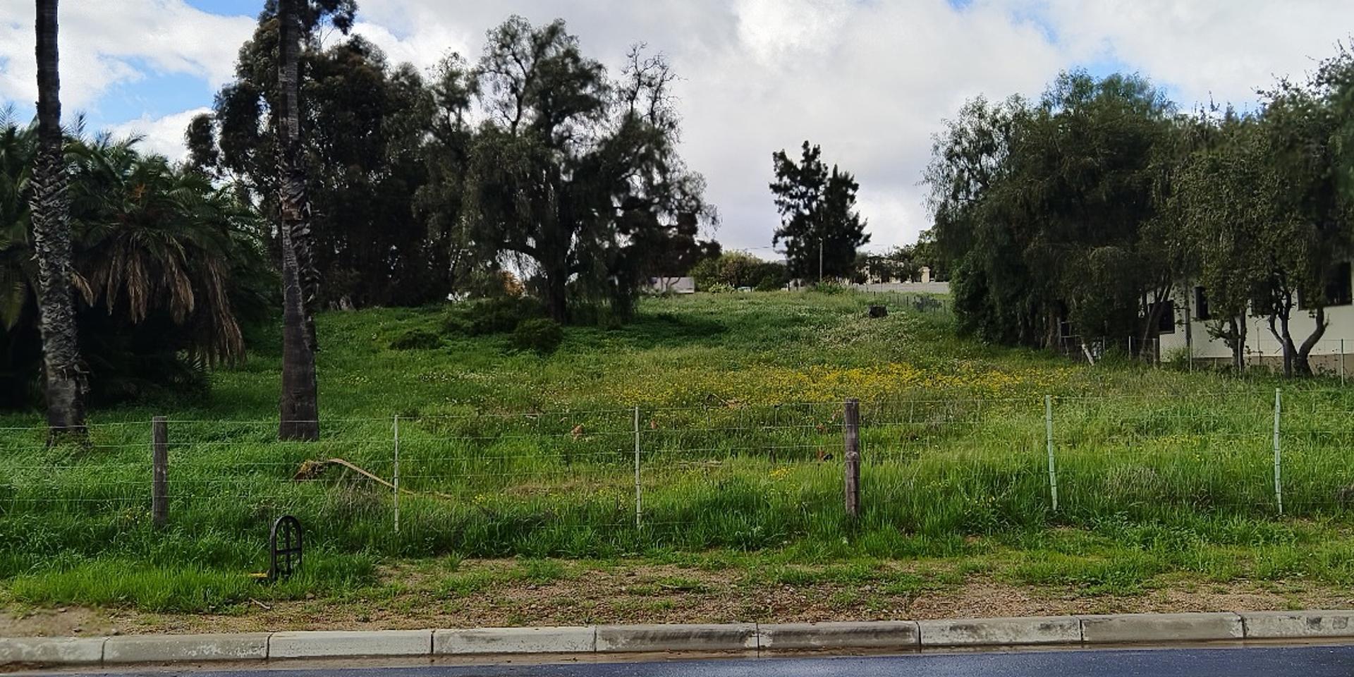 Image 4 of 6