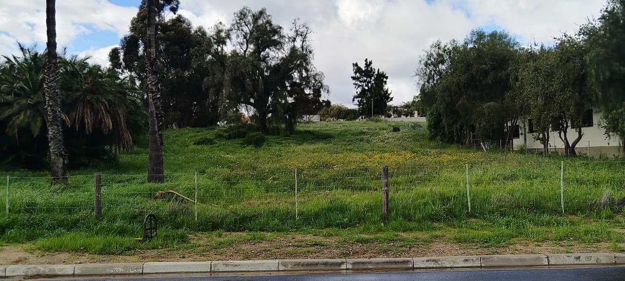 Image 4 of 6