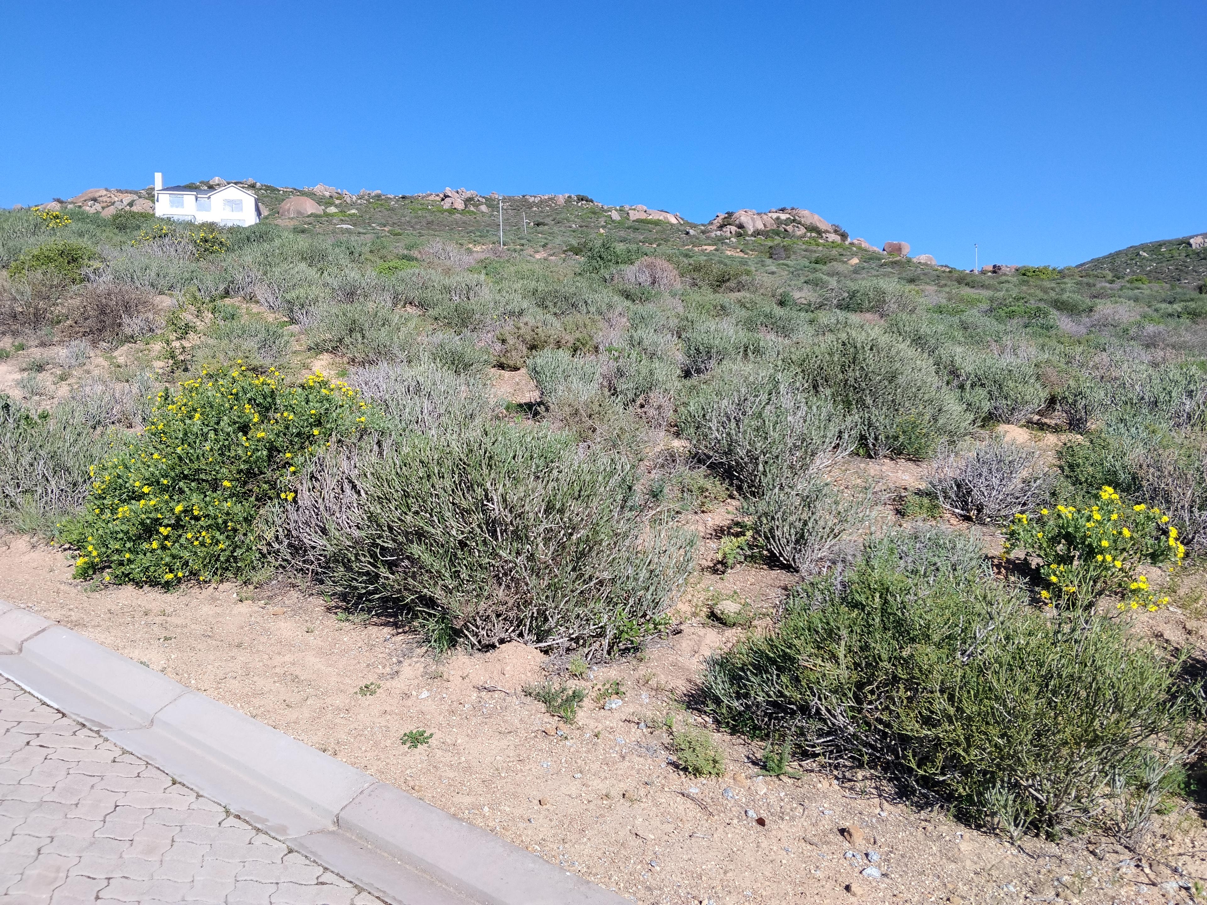 Image 3 of 6