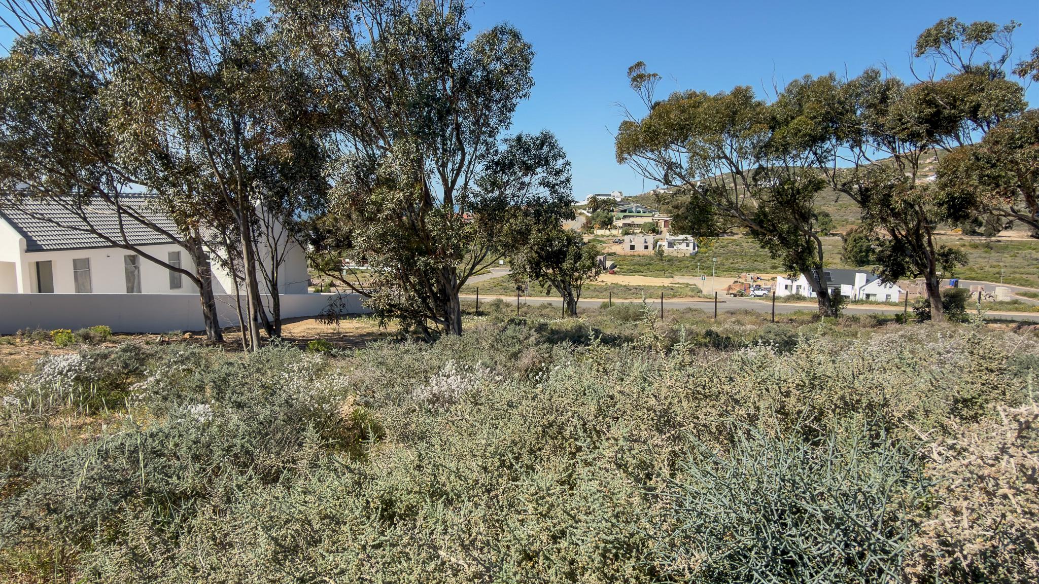 Image 10