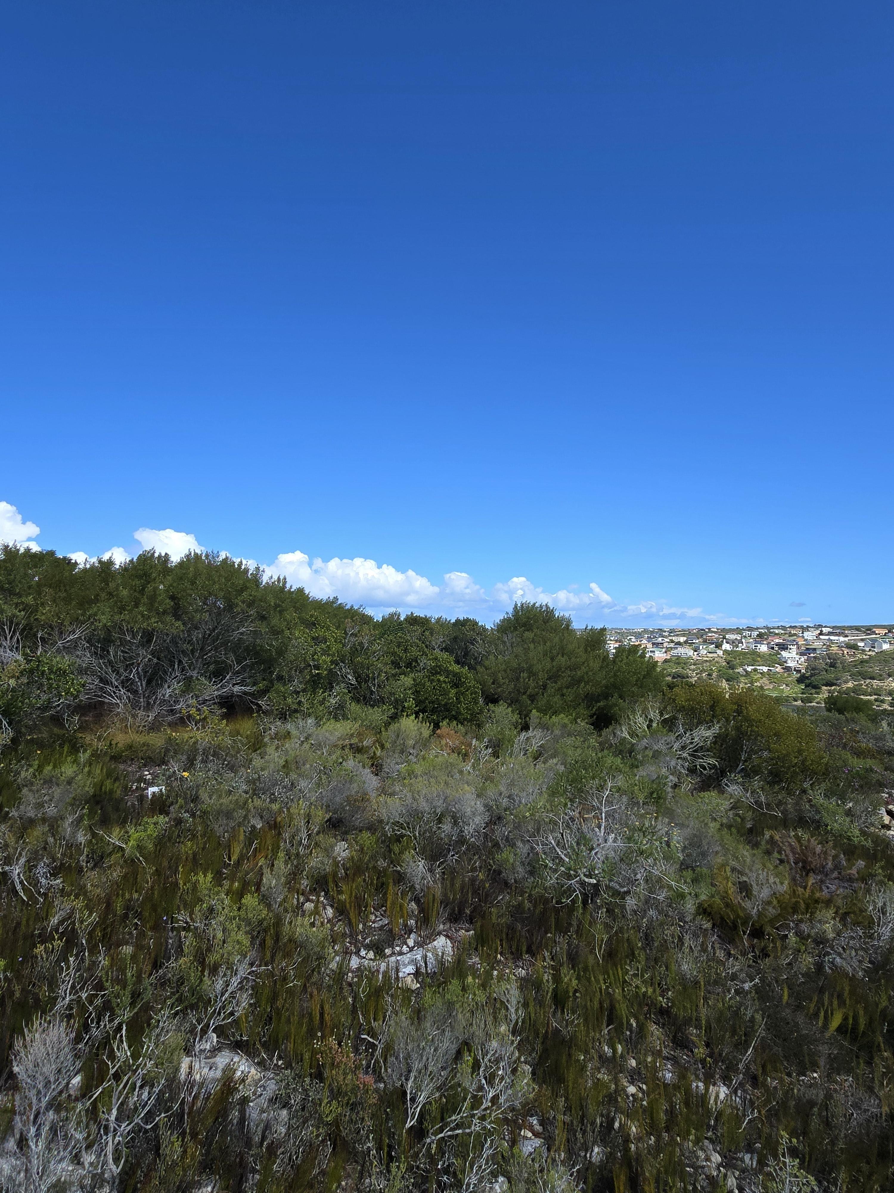 Image 2 of 6