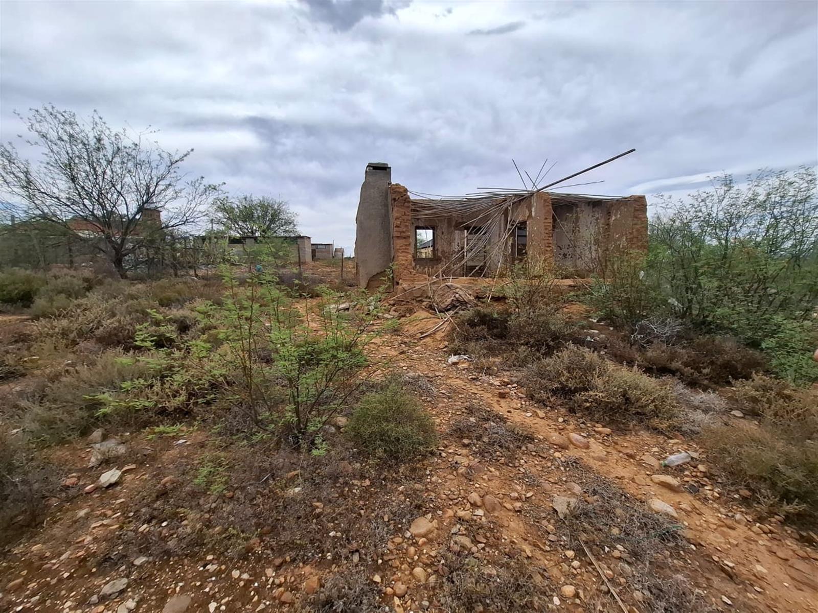 Image 12