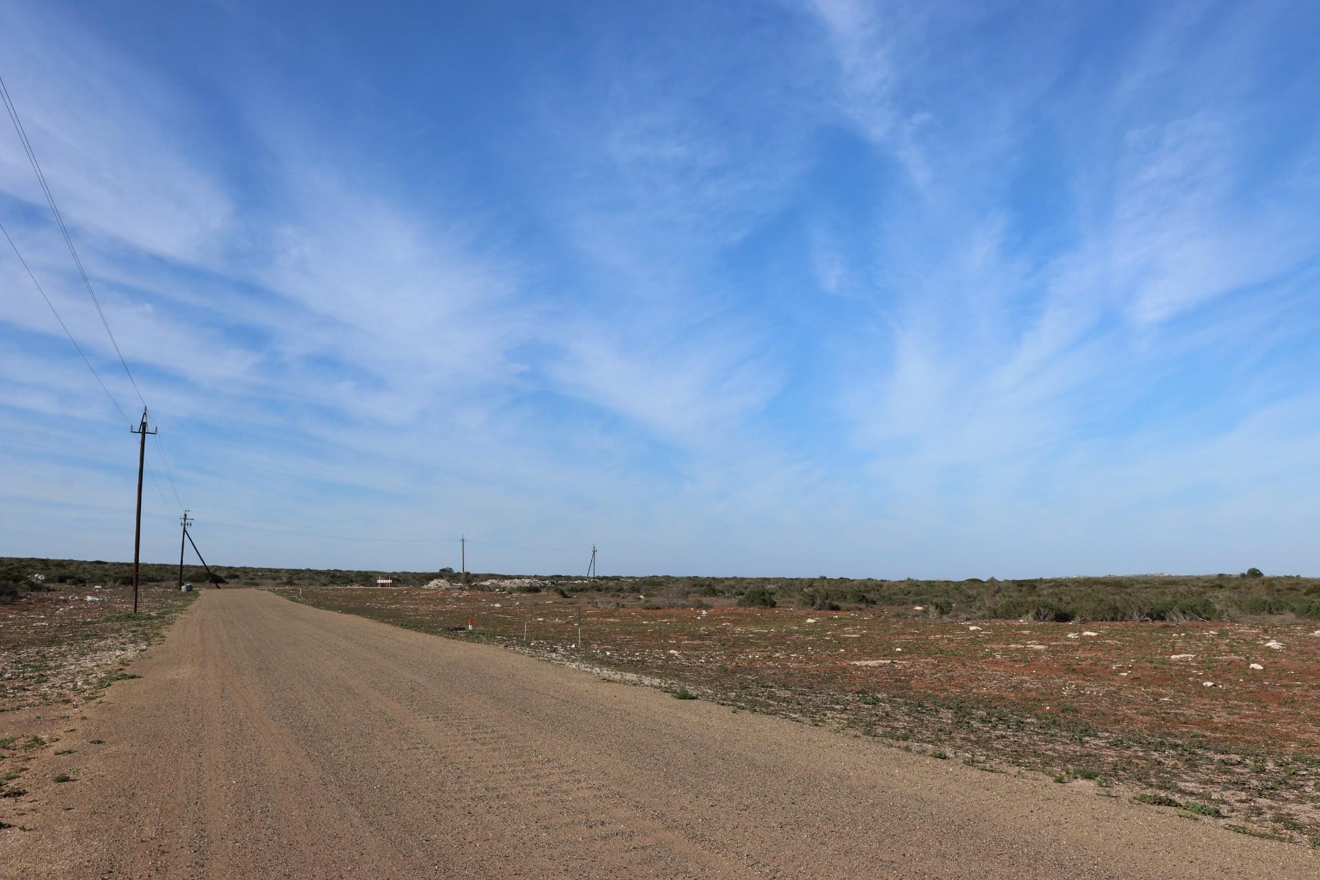 Image 15