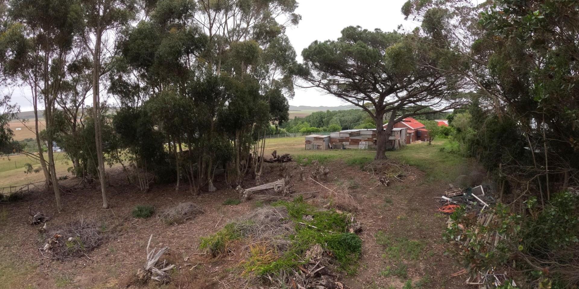 Image 3 of 6