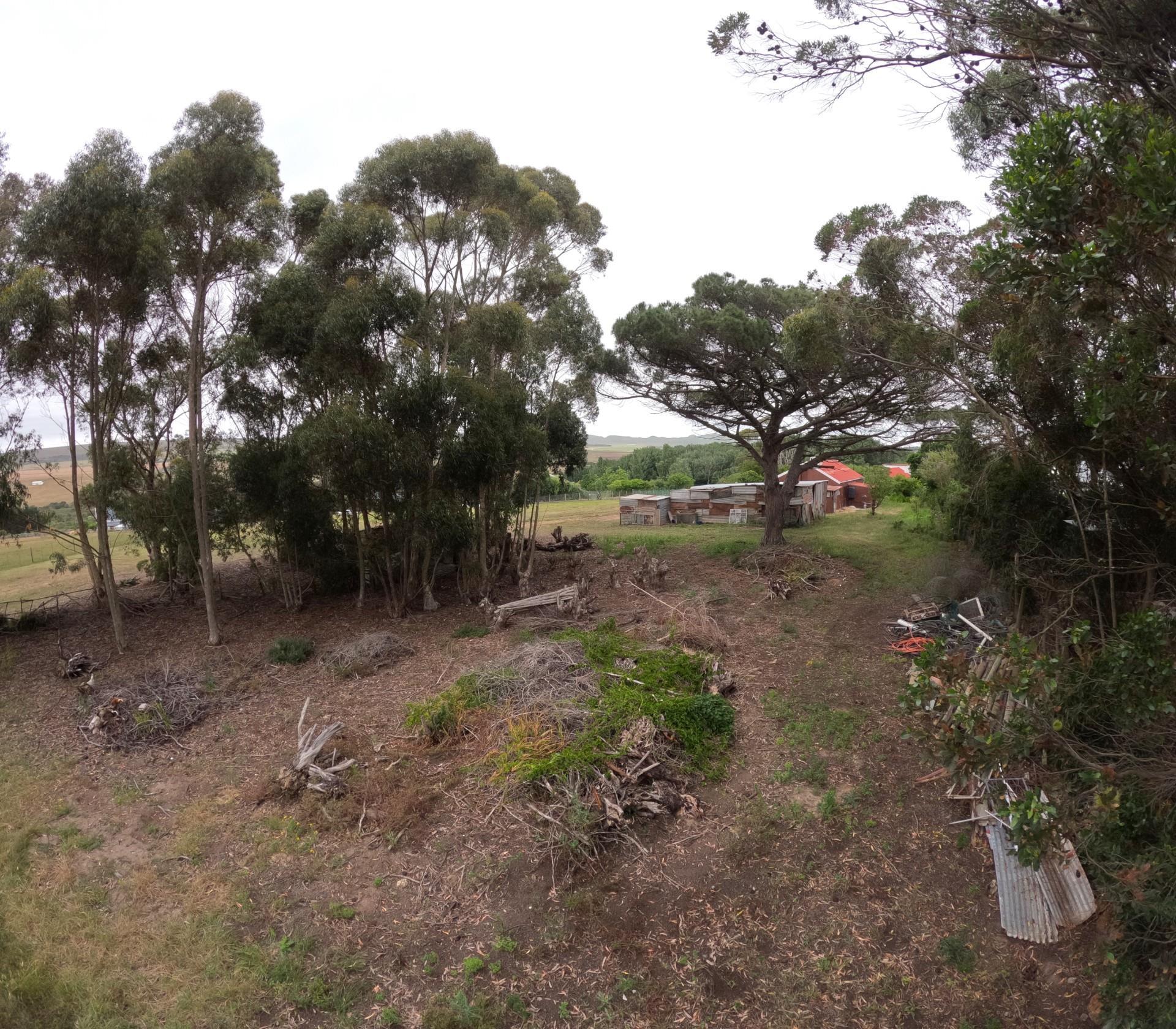 Image 2 of 6