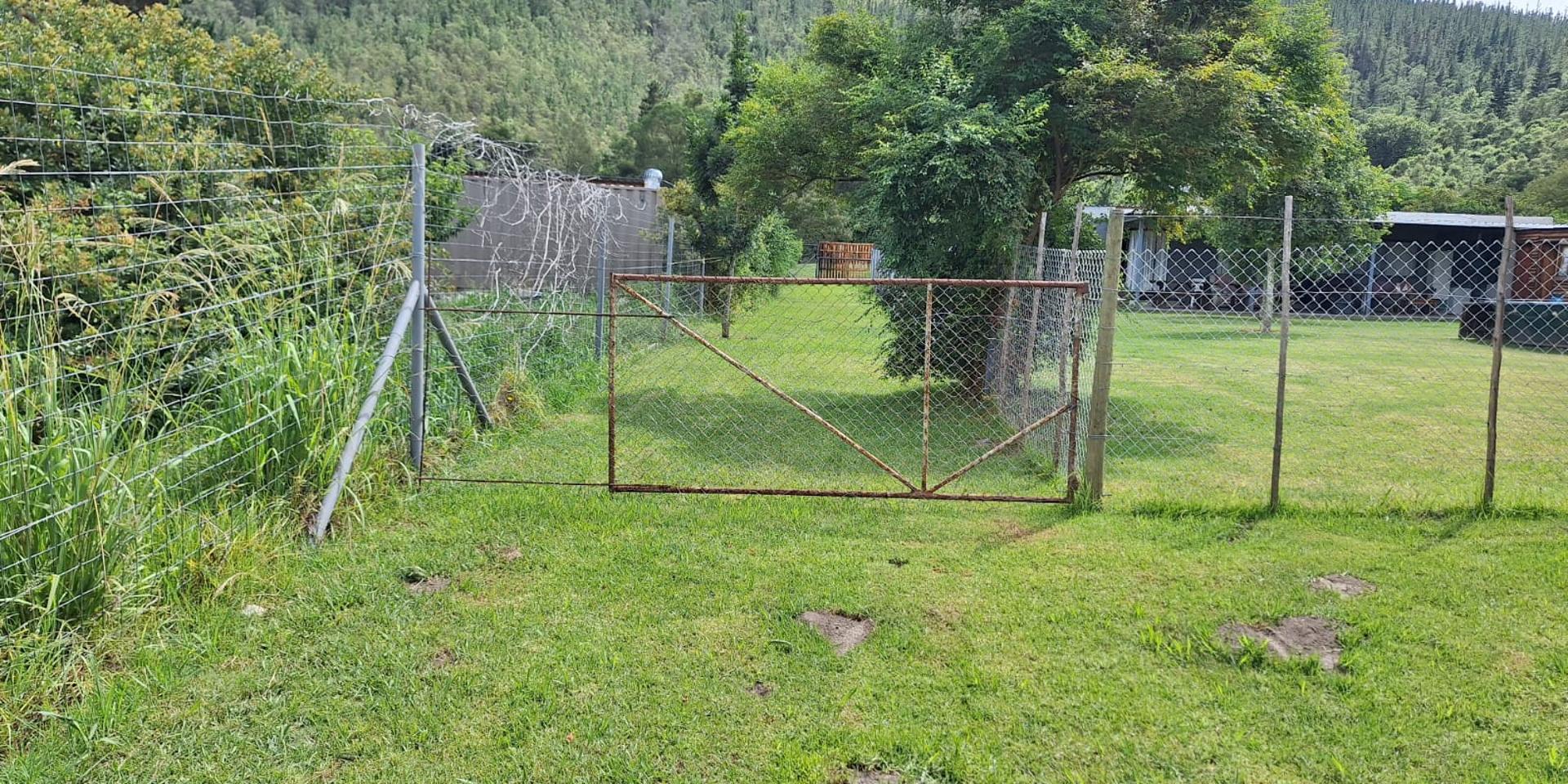 Image 4 of 6