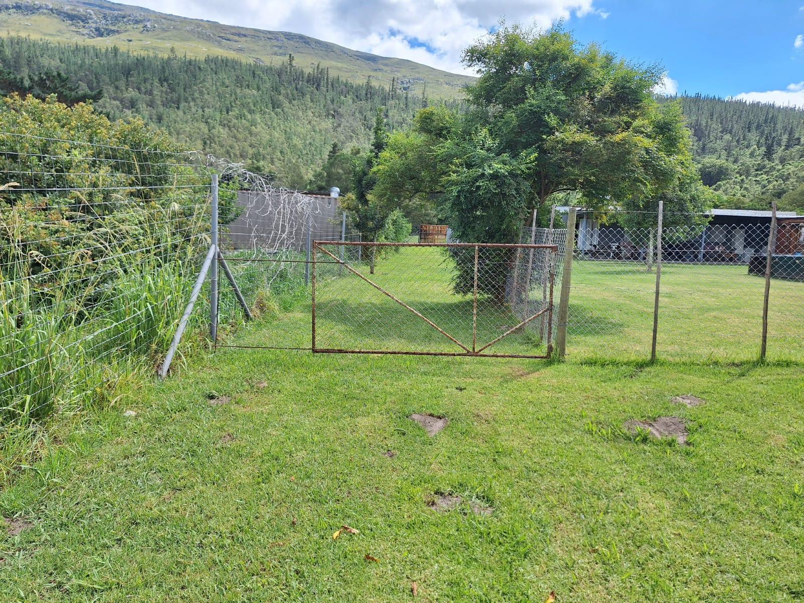 Image 4 of 6