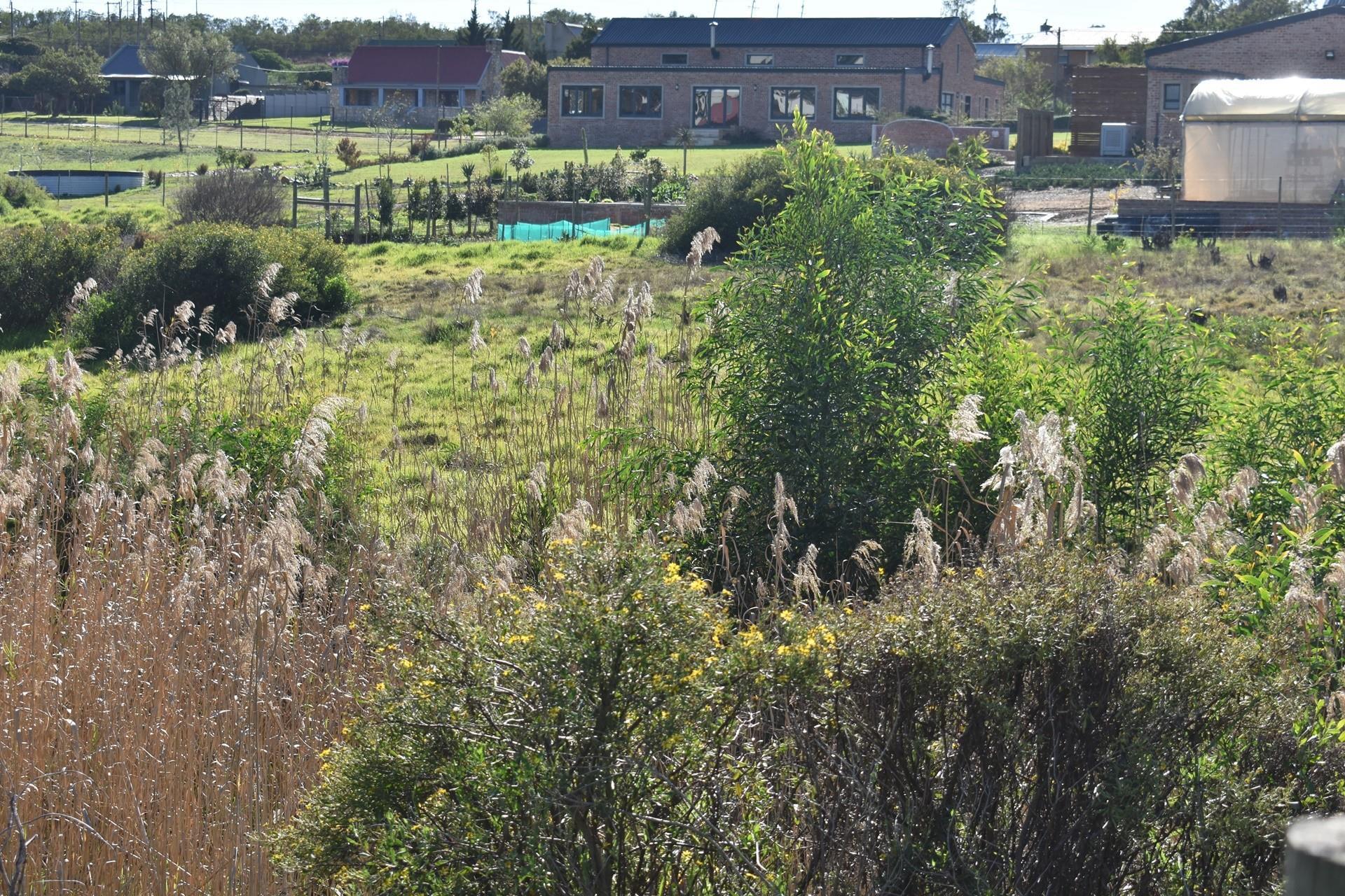 Image 13