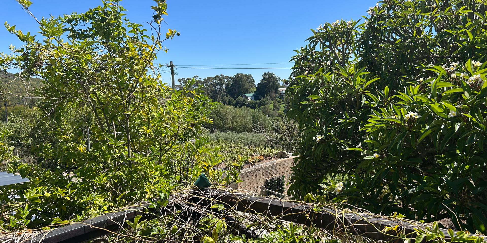 Image 5 of 6